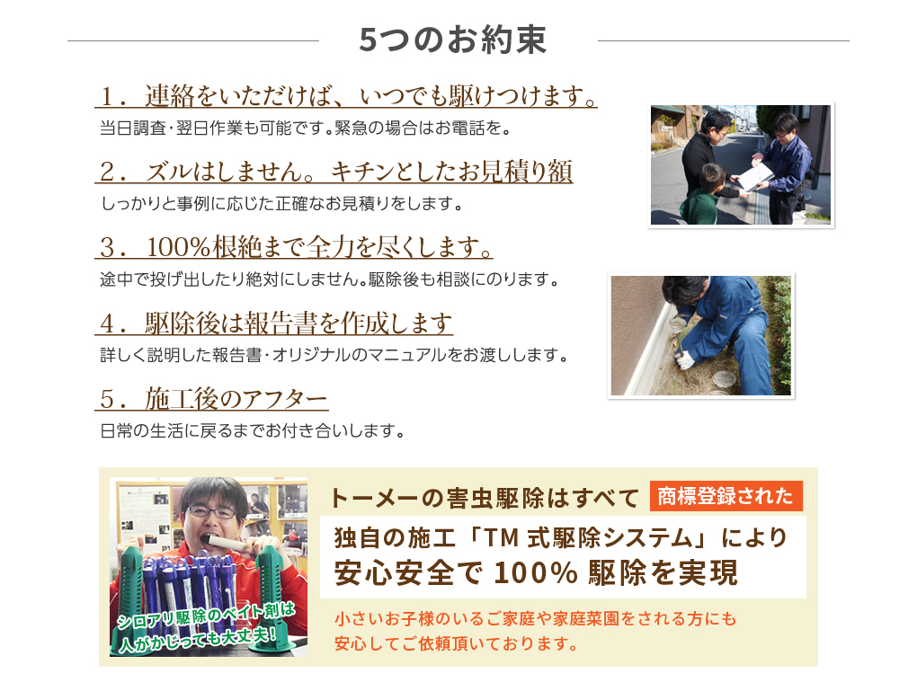 5つのお約束