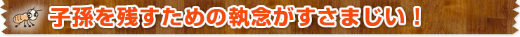 子孫を残すための執念がすさまじい！