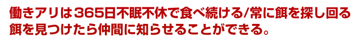 働きアリは３６５日不眠不休で食べ続ける/常に餌を探し回る餌を見つけたら仲間に知らせることができる。