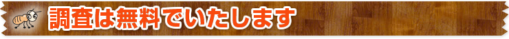 調査は無料でいたします