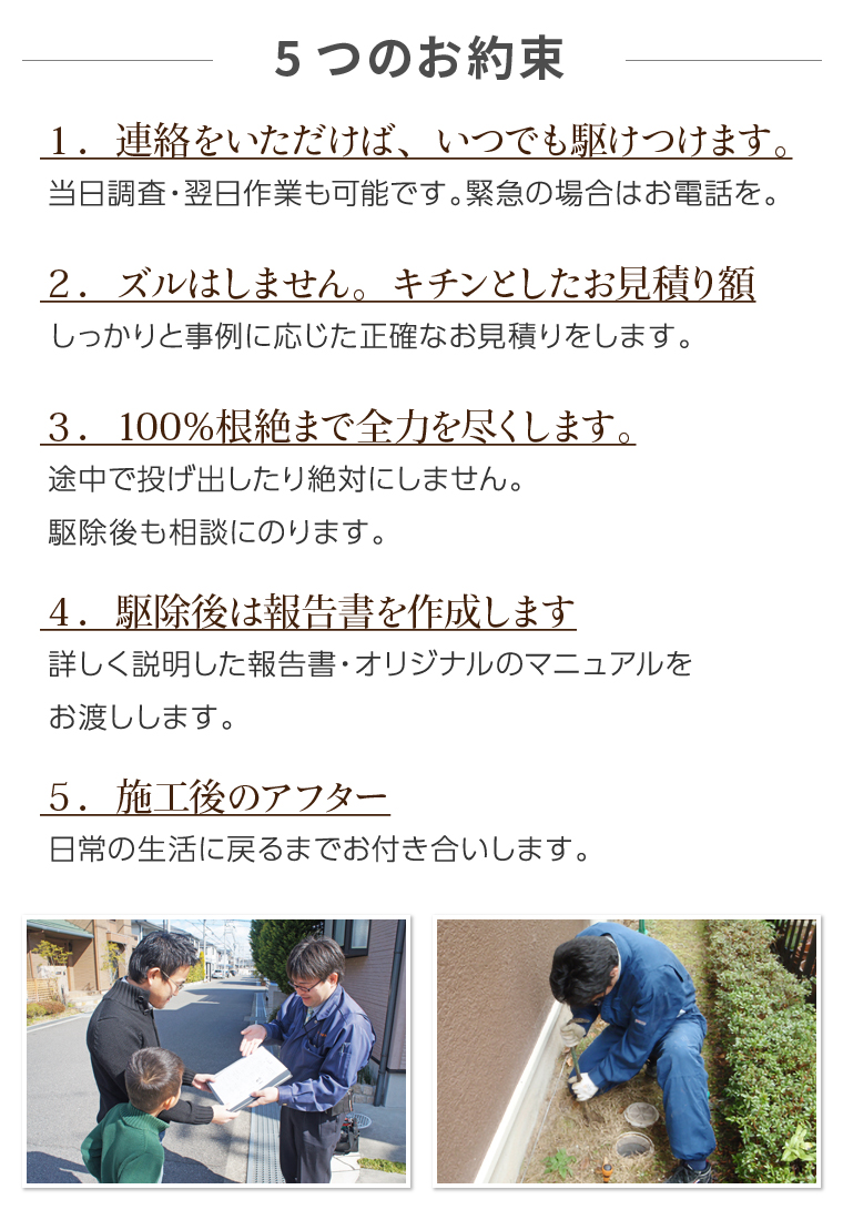 5つのお約束