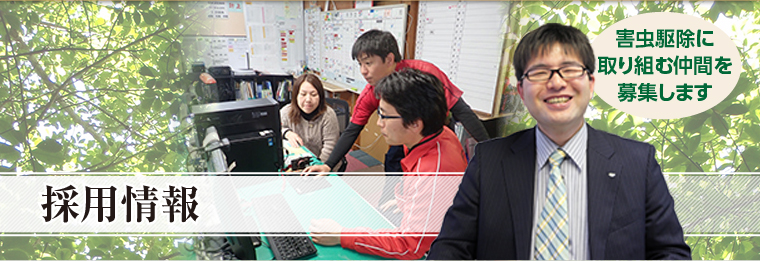 採用情報
