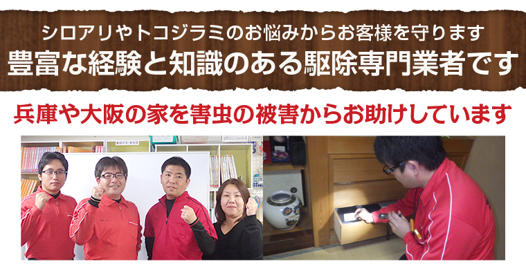 豊富な経験と知識のある駆除専門業者です