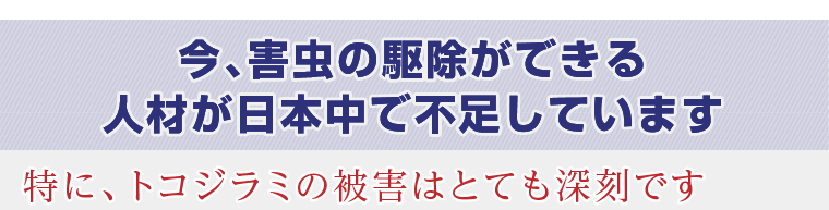 特に、トコジラミの被害はとても深刻です