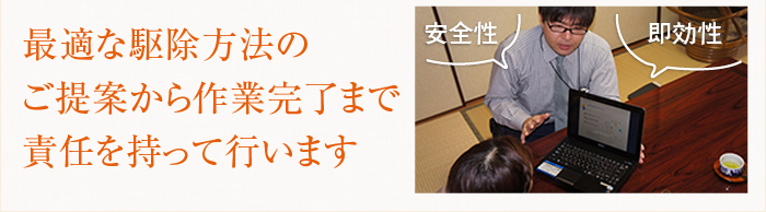 最適な駆除方法のご提案から作業完了まで責任を持って行います