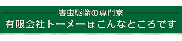 有限会社トーメーはこんなところです