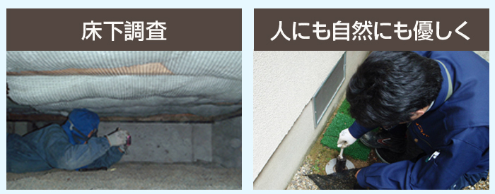 床下調査