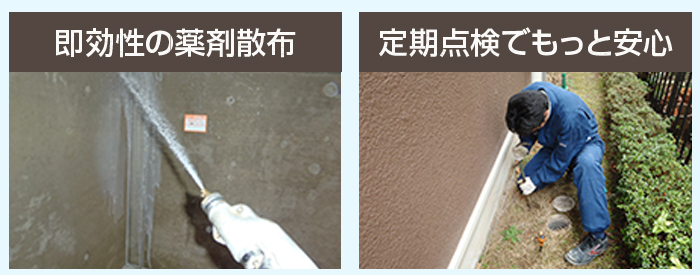 即効性の薬剤散布
