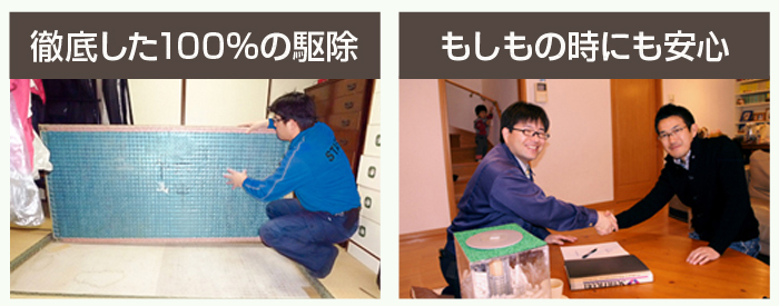 徹底した100％の駆除