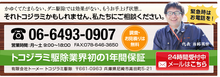 メールはこちら