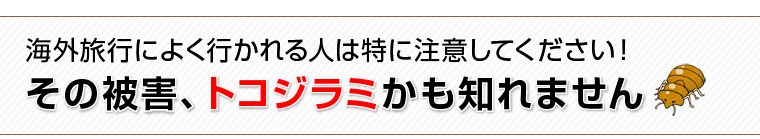 その被害、トコジラミかも知れません