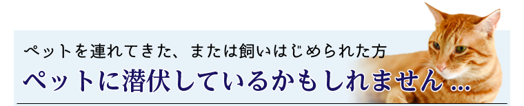 ペットに潜伏しているかもしれません...
