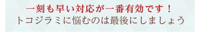 一刻も早い対応が一番有効です！