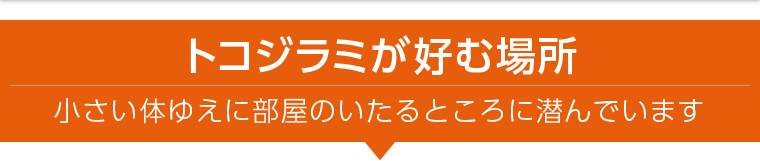 トコジラミが好む場所