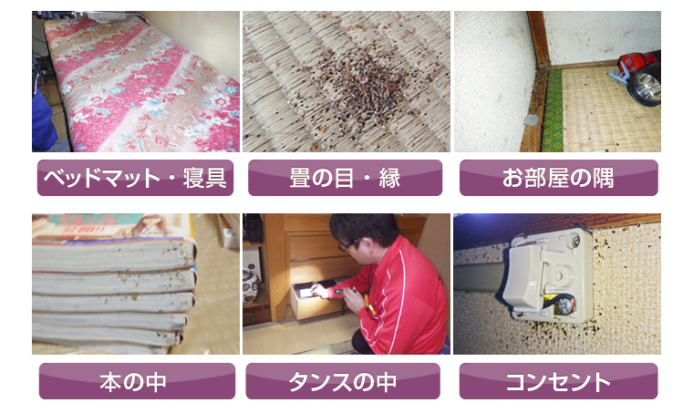 ベッドマット・寝具