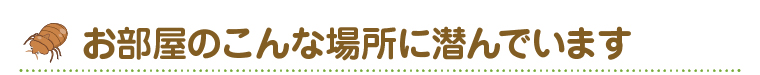 お部屋のこんな場所に潜んでいます