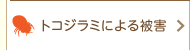 トコジラミによる被害