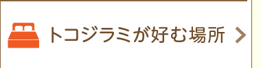 トコジラミが好む場所