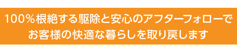 100％根絶する駆除と安心のアフターフォローでお客様の快適な暮らしを取り戻します