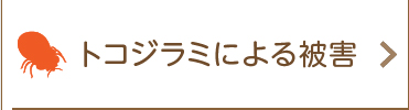 トコジラミによる被害