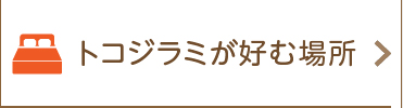 トコジラミが好む場所