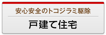 戸建て住宅