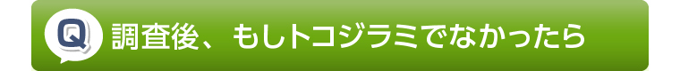 調査後、もしトコジラミでなかったら