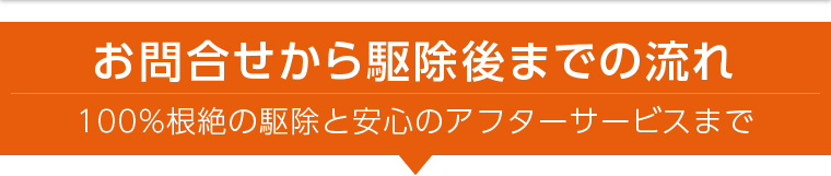 お問合せから駆除後までの流れ