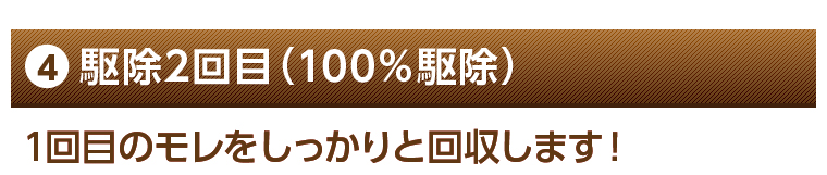駆除2回目（100％駆除）