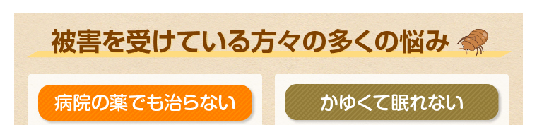被害を受けている方々の多くの悩み