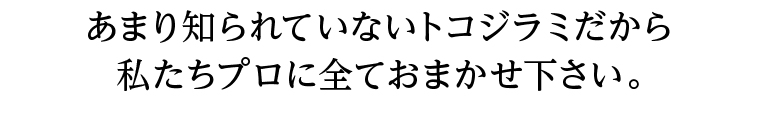 あまり知られていないトコジラミだから私たちプロに全ておまかせ下さい。