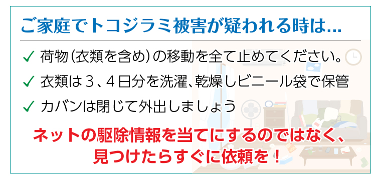 トコジラミ駆除についてよくあるＱ＆Ａ