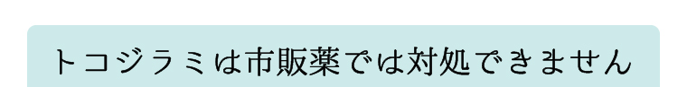 トコジラミは市販薬では対処できません