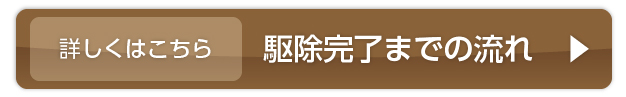 駆除完了までの流れ　▶