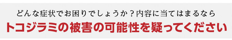 トコジラミの被害の可能性を疑ってください