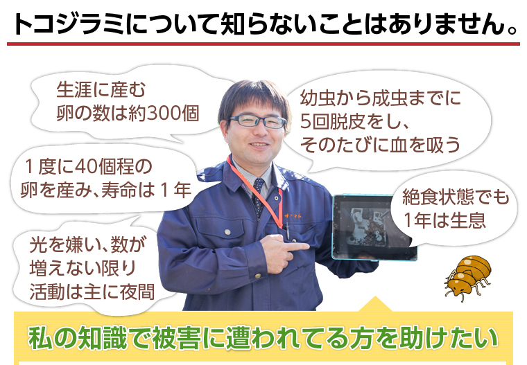 トコジラミについて知らないことはありません。