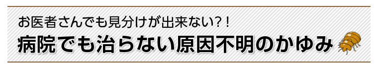 病院でも治らない原因不明のかゆみ