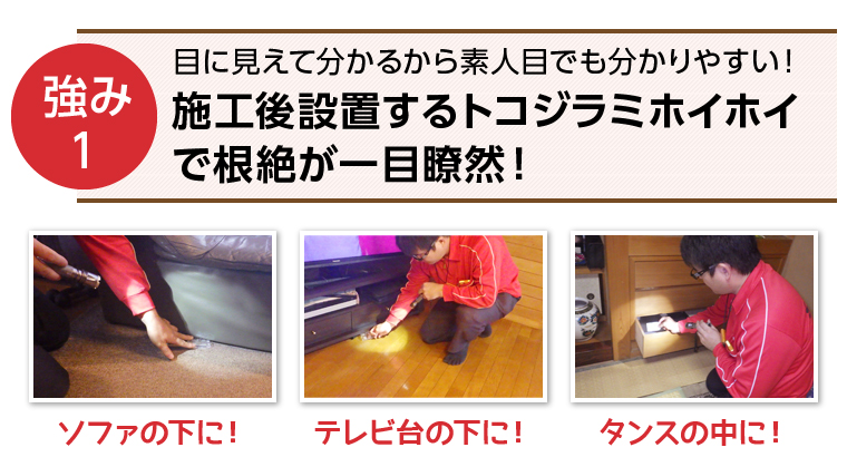 目に見えて分かるから素人目でも分かりやすい！