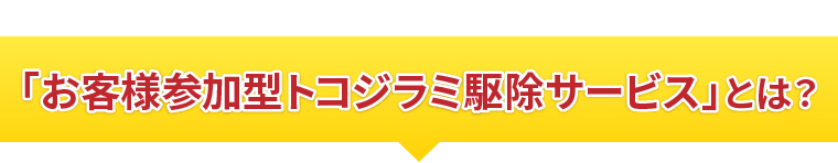 「お客様参加型トコジラミ駆除サービス」とは？