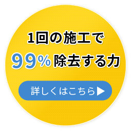 詳しくはこちら