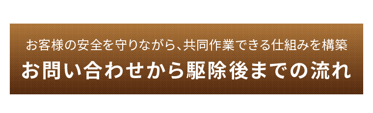 お問い合わせから駆除後までの流れ