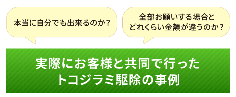 実際にお客様と共同で行ったトコジラミ駆除の事例