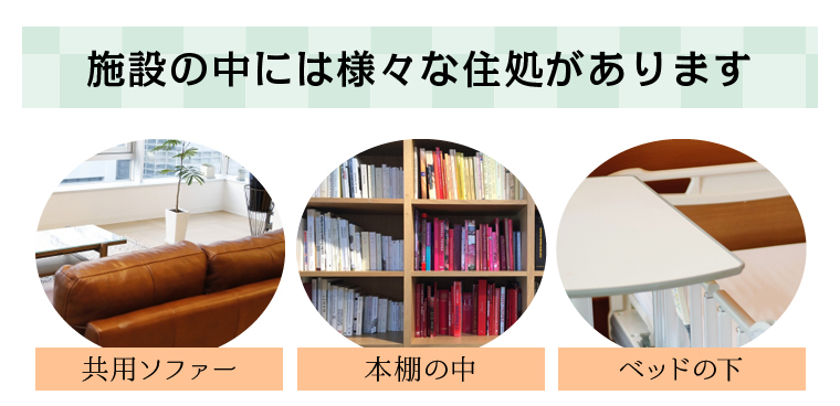 施設の中には様々な住処があります