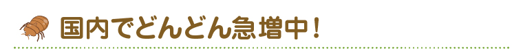 国内でどんどん急増中！